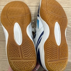 butterfly 23.5 靴の画像