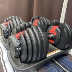 RIORES 可変式ダンベル 2.5〜24kg  2点セットの画像