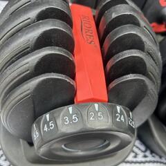 RIORES 可変式ダンベル 2.5〜24kg  2点セットの画像