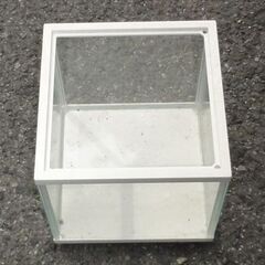 [ 中古 ・引き取り限定 ]  観賞魚飼育セットの画像