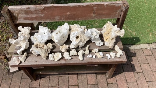 ライブロック 白化　水槽装飾 　水質浄化　ろ材