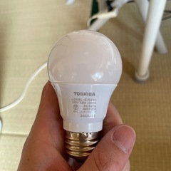 LED電球　取引中