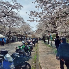 バイク好き男性・女性のメンバー募集！ - メンバー募集