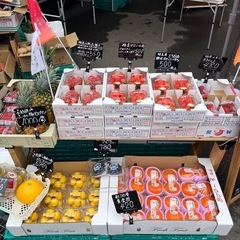 黄金柑入荷しました！✨