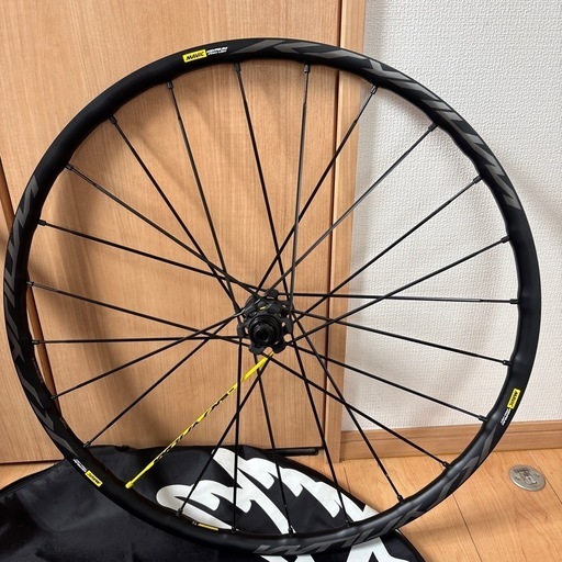 海野光弘 木版画 久能山と石垣いちご 海野光弘 木版画 久能山と石垣いちご