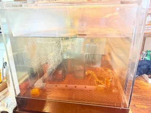 飲食店　水槽　生簀　90cm　