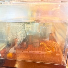 飲食店　水槽　生簀　90cm　の画像