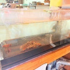 飲食店　水槽　生簀　90cm　