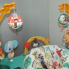 ベビー・子供用品買取販売キッズモール湘南/フィッシャープライス・ジャンパルー/首すわり～１２kg/洗濯済/２０２２年購入の画像