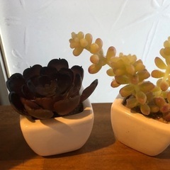 ★フェイク　多肉植物★3種セットの画像