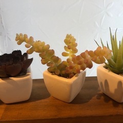 ★フェイク　多肉植物★3種セットの画像