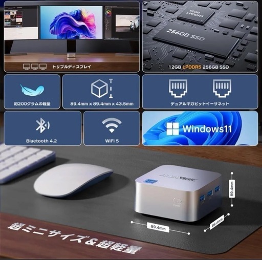 ミニpc n100 最大3.4GHz 12GB DDR5 RAM 256GB M.2 SSD 2TB拡大可 