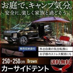 武田コーポレーション　カーサイドタープ　カーサイドテント　CT-...