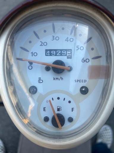 綺麗スクーピー絶好調！