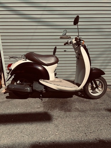 綺麗スクーピー絶好調！