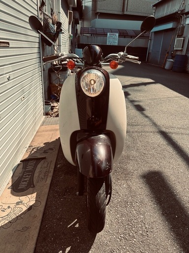 綺麗スクーピー絶好調！