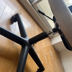 nitoriイスの画像