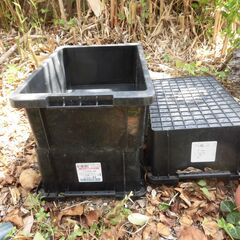メダカ　入れ物　コンテナＢＯＸ