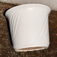 白色陶器鉢の画像