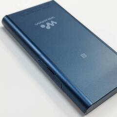 SONY ウォークマン NW-A55/16GBの画像