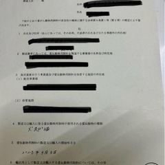 鹿骨ジャーキー肩甲骨(肉付) Sサイズ×2の画像