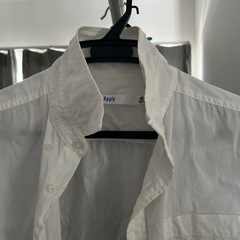 SPINNSシャツの画像