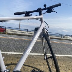 ★適応身長170-190cm★KhoddaBloom（コーダーブルーム）クロスバイク　RAIL ACTIVE　480サイズの画像