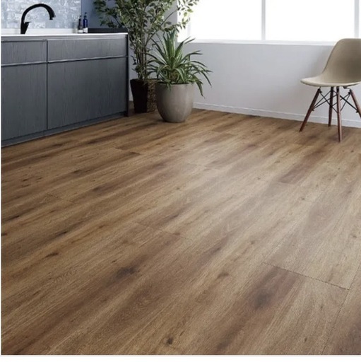 ラシッサDフロア