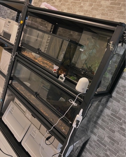 エキゾテラゲージ60×30 楽天市場】エキゾテラ ケージ 60cmの通販