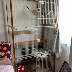 ieneko3段キャットゲージ   