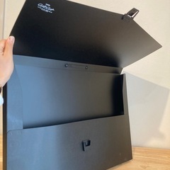 アルタートケースの画像