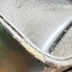 レディース　ビジネス　パックの画像