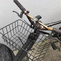 大人用オーダーメイド自転車の画像