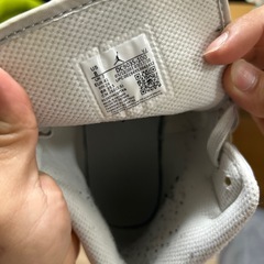エアジョーダン　26センチの画像