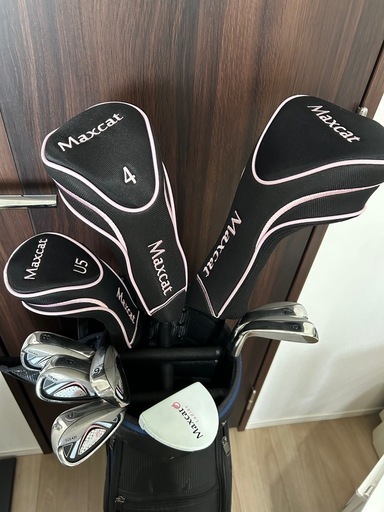 ゴルフセット レディース 10本 バッグ付