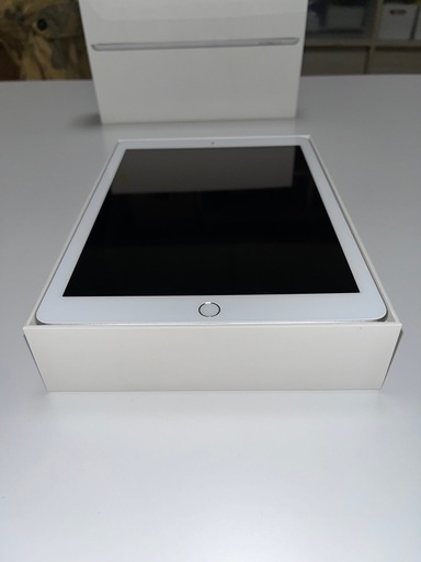 iPad (6th Generation) Wi-Fi + Cellular