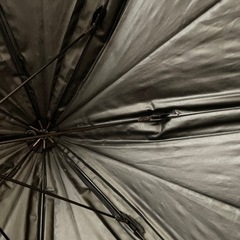 日傘　ミニ　の画像