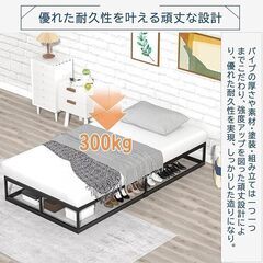 ベッドフレーム シングル アイアン 黒の画像