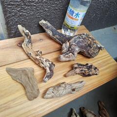 🛑値下げ💦天然流木