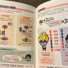 のほほん解剖生理学の画像