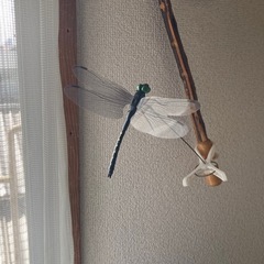 オニヤンマ