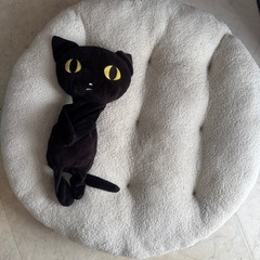 大型犬用くつろぎソファ
