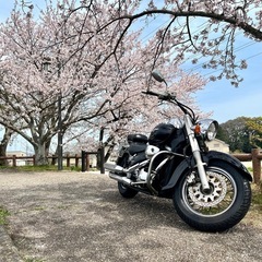 スズキ　イントルーダー400クラシック　乗って帰れます‼︎