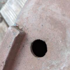 中型盆栽鉢の画像