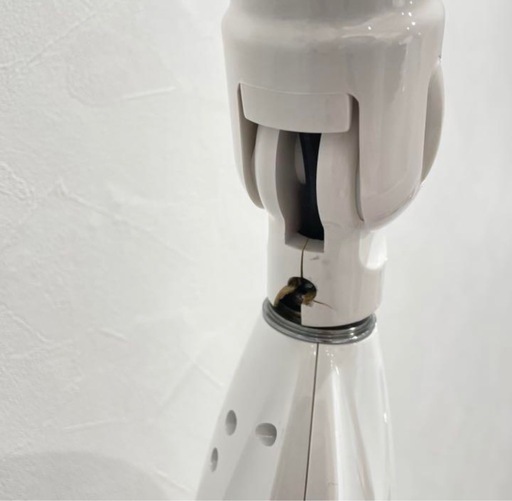 セルフホワイトニング機器【訳あり！ひび割れあり】