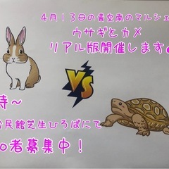 リアル版ウサギとカメin青空南のマルシェ