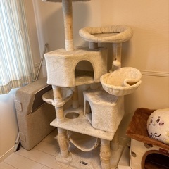 キャットタワー無料で譲ります