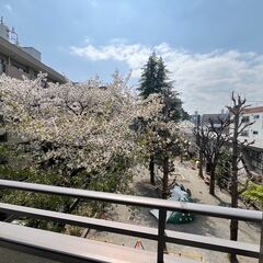 💞雑司が谷駅徒歩5分の好立地💞賃貸併用住宅！延床面積229.50㎡！💞ホームエレベーター付き！珍しい防音室付き！💞駐車スペース2台あり💞 - 不動産