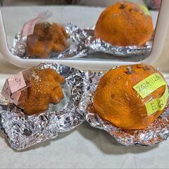 畑、プランター、植木鉢等で波動実験の仲間を募集します。 − 新潟県