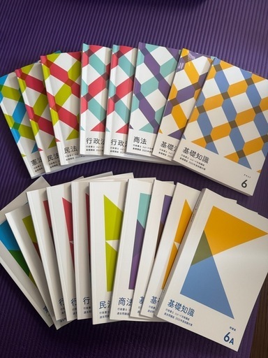 フォーサイト行政書士スピード合格講座2025年度試験対策専門講師DVD付き